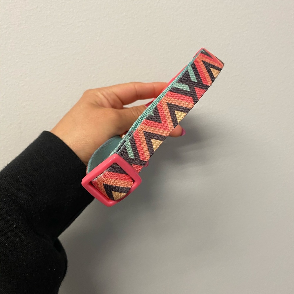 Medium Dog Collar